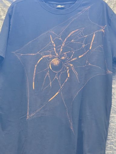 T-Shirt mit Spinne im Netz